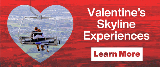 Website Banner Home Page